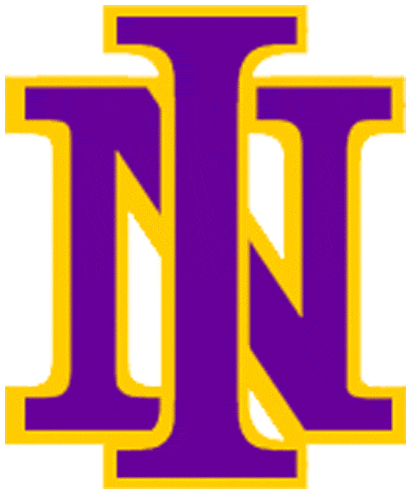 Northern Iowa Panthers 1981-2000 Primary Logo diy iron on heat transfer